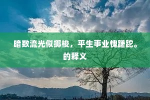暗数流光似掷梭，平生事业愧蹉跎。的释义