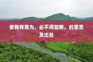 使我有意为，必不得如斯。的意思及出处