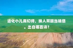 造化小儿真幻师，换人双眼当晴昼。出自哪首诗？
