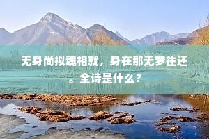 无身尚拟魂相就，身在那无梦往还。全诗是什么？