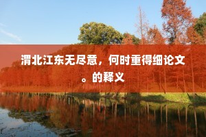 渭北江东无尽意，何时重得细论文。的释义