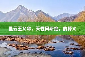 虽云王父命，天性何斯绝。的释义