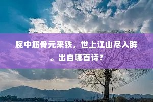 腕中筋骨元来铁，世上江山尽入眸。出自哪首诗？