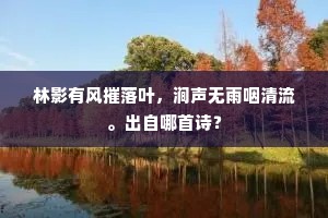 林影有风摧落叶，涧声无雨咽清流。出自哪首诗？