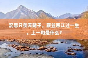 沉思只羡天随子，蓑笠寒江过一生。上一句是什么？