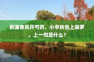 别浦春风开芍药，小亭秋色上藤萝。上一句是什么？
