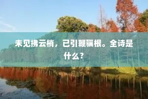 未见拂云梢，已引鞭骥根。全诗是什么？