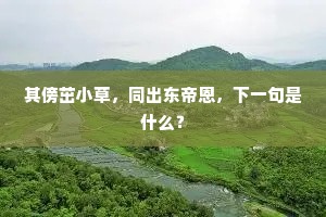 其傍茁小草，同出东帝恩，下一句是什么？