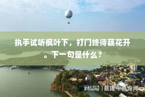 执手试听枫叶下，打门终待藕花开。下一句是什么？