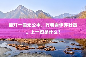 孤灯一曲无公事，万卷吾伊亦壮哉。上一句是什么？