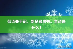 御诗兼手诏，新见睿思书。全诗是什么？