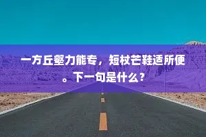 一方丘壑力能专，短杖芒鞋适所便。下一句是什么？