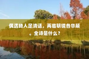 偶遇畸人足清话，再临明镜各华颠。全诗是什么？