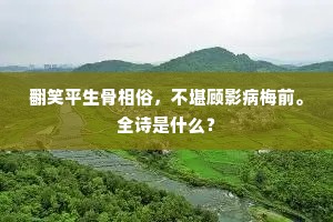 翻笑平生骨相俗，不堪顾影病梅前。全诗是什么？