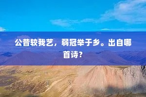 公昔较我艺，弱冠举于乡。出自哪首诗？