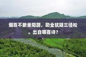 烟霞不断重阳路，勋业犹疑三径松。出自哪首诗？