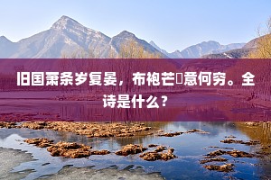 旧国萧条岁复晏，布袍芒屩意何穷。全诗是什么？