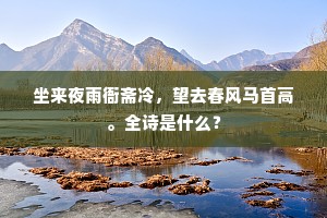坐来夜雨衙斋冷，望去春风马首高。全诗是什么？