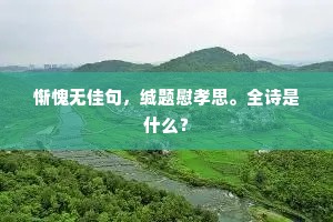 惭愧无佳句，缄题慰孝思。全诗是什么？