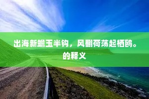 出海新蟾玉半钩，风翻荷荡起栖鸥。的释义
