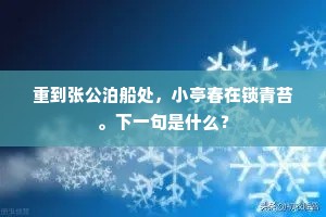 重到张公泊船处，小亭春在锁青苔。下一句是什么？