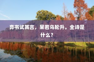 弃书试其言，杲若乌轮升。全诗是什么？