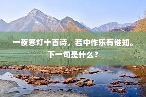 一夜寒灯十首诗，若中作乐有谁知。下一句是什么？