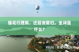 插花行理鬓，迁延去复归。全诗是什么？