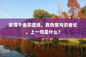 安得千金买遗纸，真伪常与识者论。上一句是什么？