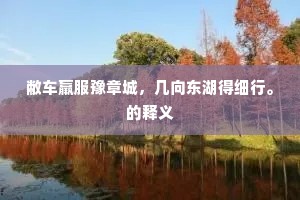 敝车羸服豫章城，几向东湖得细行。的释义