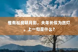 惟有松房明月影，夫年长似为然灯。上一句是什么？