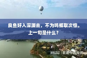 良鱼好入深渊去，不为鸣榔取次惊。上一句是什么？