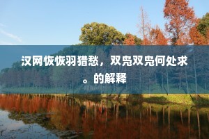 汉网恢恢羽猎愁，双凫双凫何处求。的解释