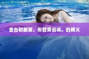 金台初献策，彤管受咨询。的释义