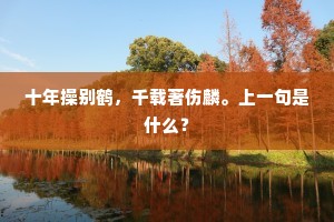 十年操别鹤，千载著伤麟。上一句是什么？