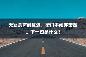 无复余声到耳边，衡门不闭亦萧然。下一句是什么？