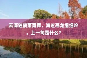 云深独鹤萧萧舞，海近寒龙细细吟。上一句是什么？
