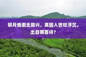 明月倚阑无限兴，莫因人世叹浮沉。出自哪首诗？