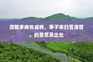 茂陵多病书成帙，季子来归雪满簪。的意思及出处