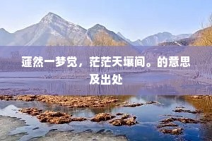 蘧然一梦觉，茫茫天壤间。的意思及出处