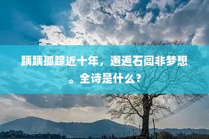踽踽孤踪近十年，邂逅石闾非梦想。全诗是什么？