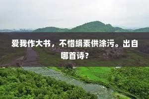 爱我作大书，不惜绢素供涂污。出自哪首诗？