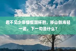 君不见少年慷慨酣杯酌，移山倒海轻一诺。下一句是什么？