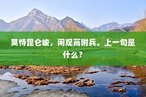 莫恃昆仑峻，闲观高附兵。上一句是什么？