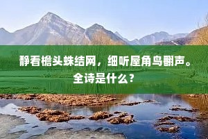 静看檐头蛛结网，细听屋角鸟翻声。全诗是什么？