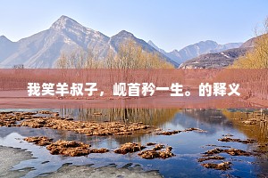 我笑羊叔子，岘首矜一生。的释义