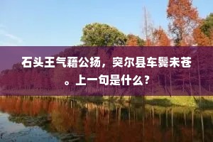 石头王气藉公扬，突尔县车鬓未苍。上一句是什么？
