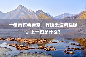 一番雨过吞青空，万顷无波鸭头绿。上一句是什么？