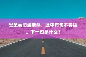 想见襄阳孟浩然，此中有句不容续。下一句是什么？