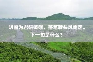 明窗为君研破砚，落笔转头风雨速。下一句是什么？